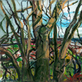 Gallery: thumbnails
